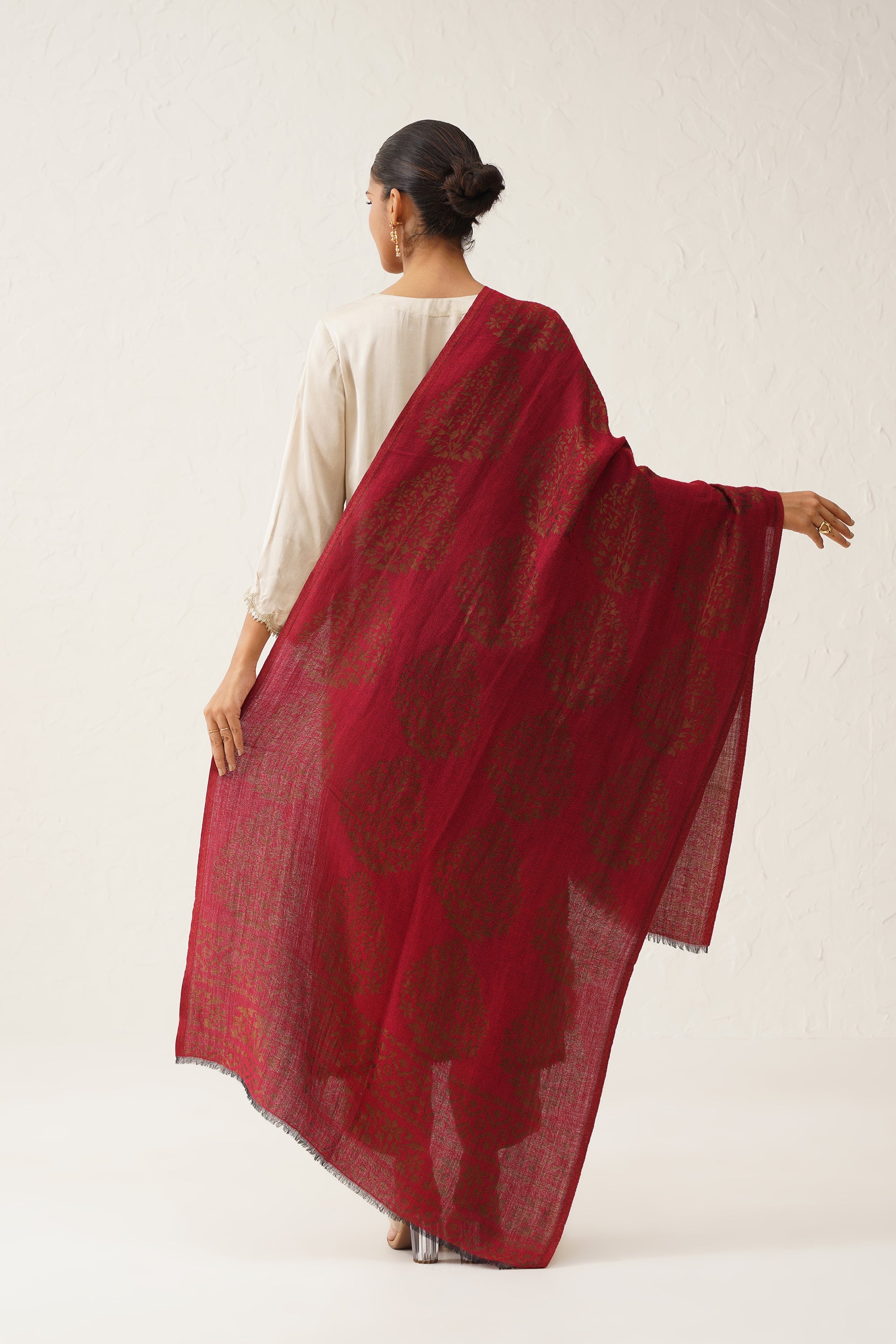 Falak Moonlight Woollen Shawl - Neetika Chopra