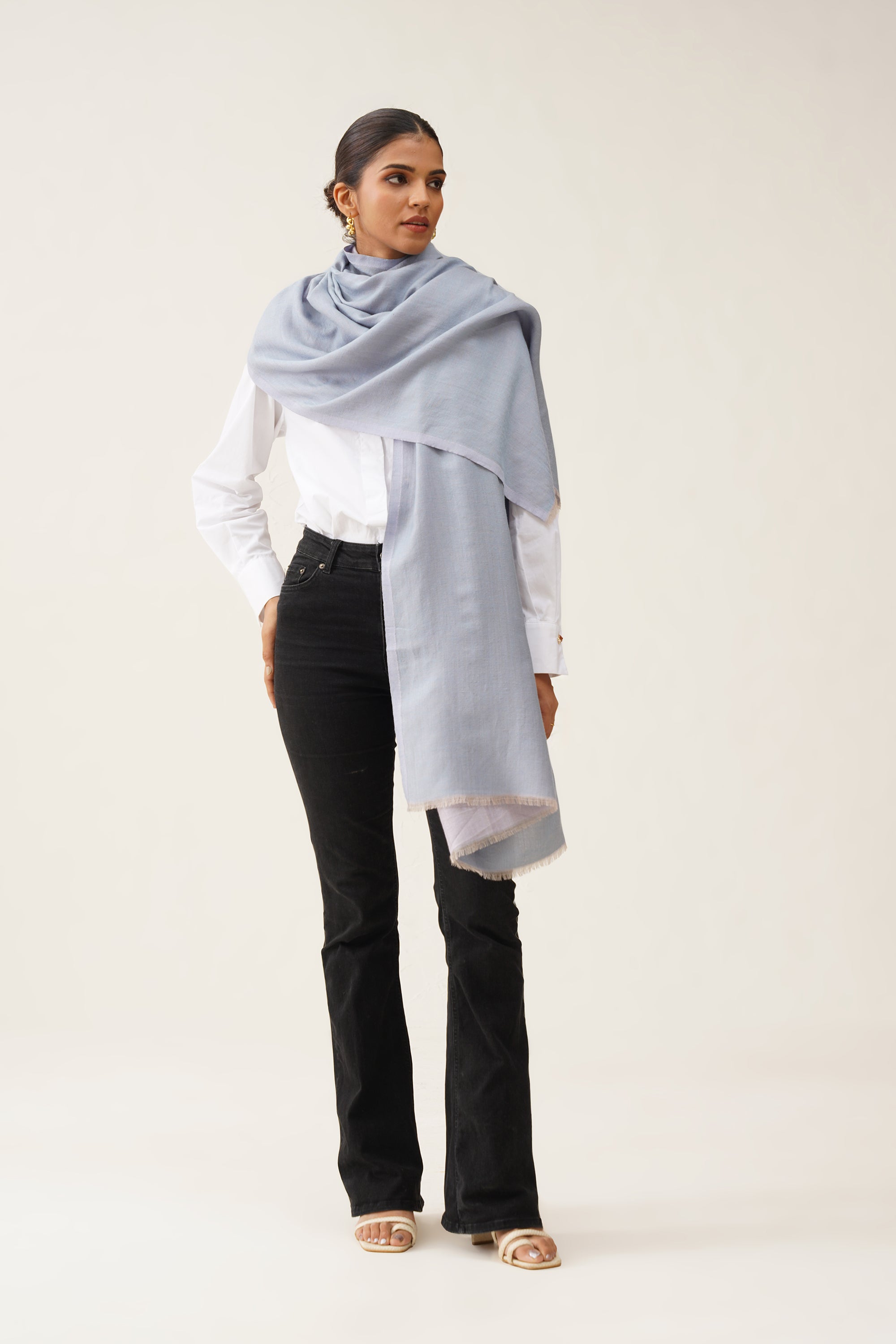 Light Blue Moonlight Stole - Neetika Chopra