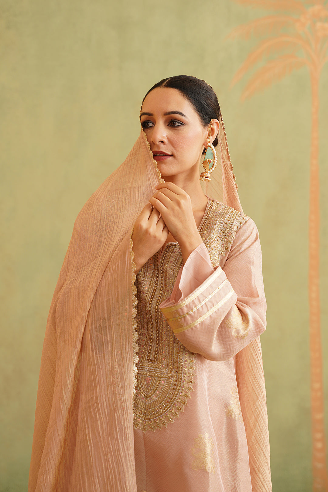 Zari Embroidered Suit Set - Neetika Chopra