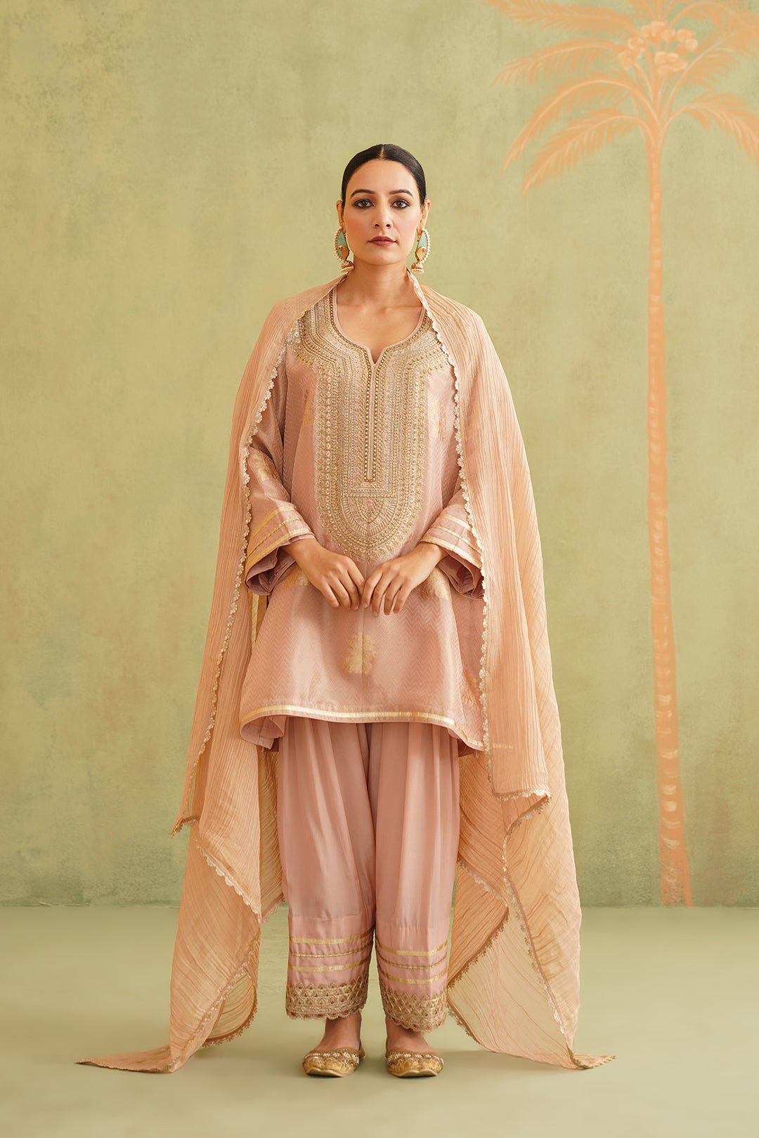 Zari Embroidered Suit Set - Neetika Chopra