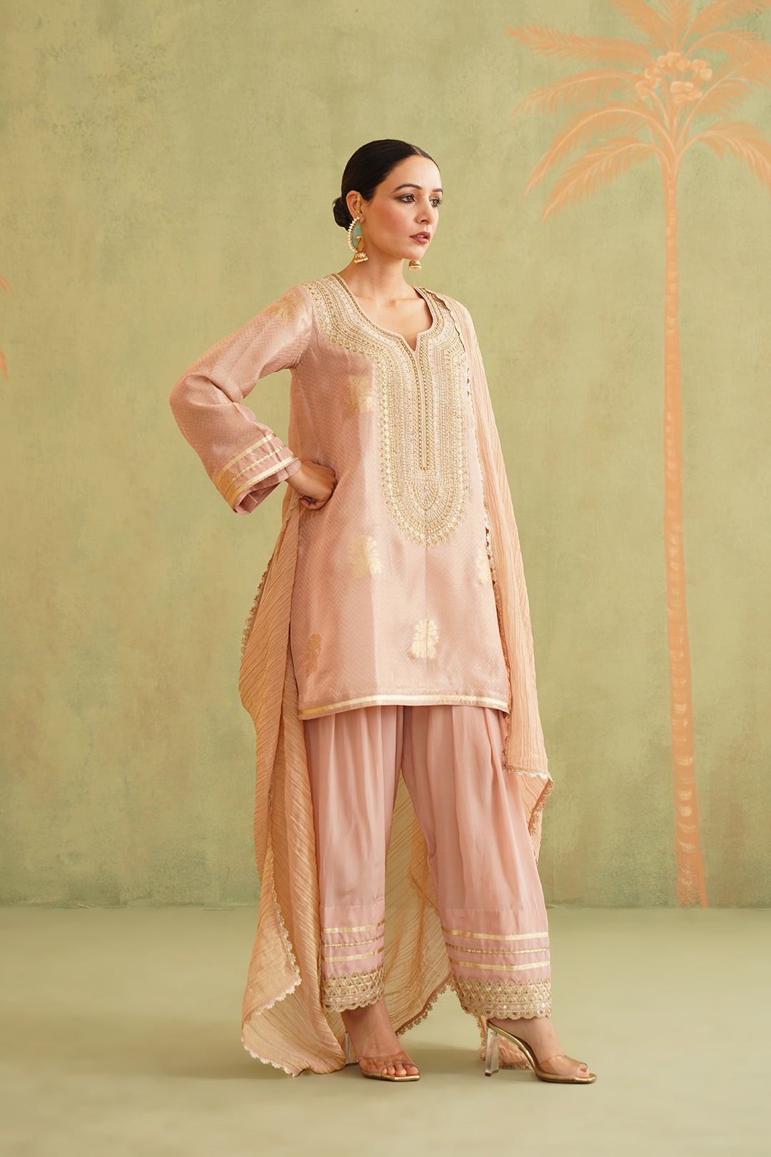 Zari Embroidered Suit Set - Neetika Chopra