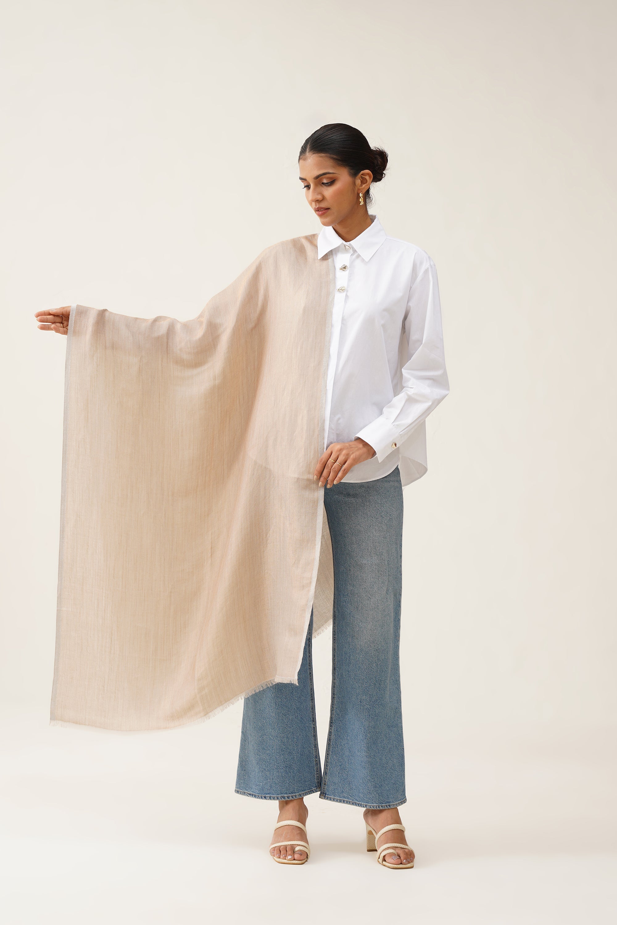 Beige Moonlight Stole - Neetika Chopra