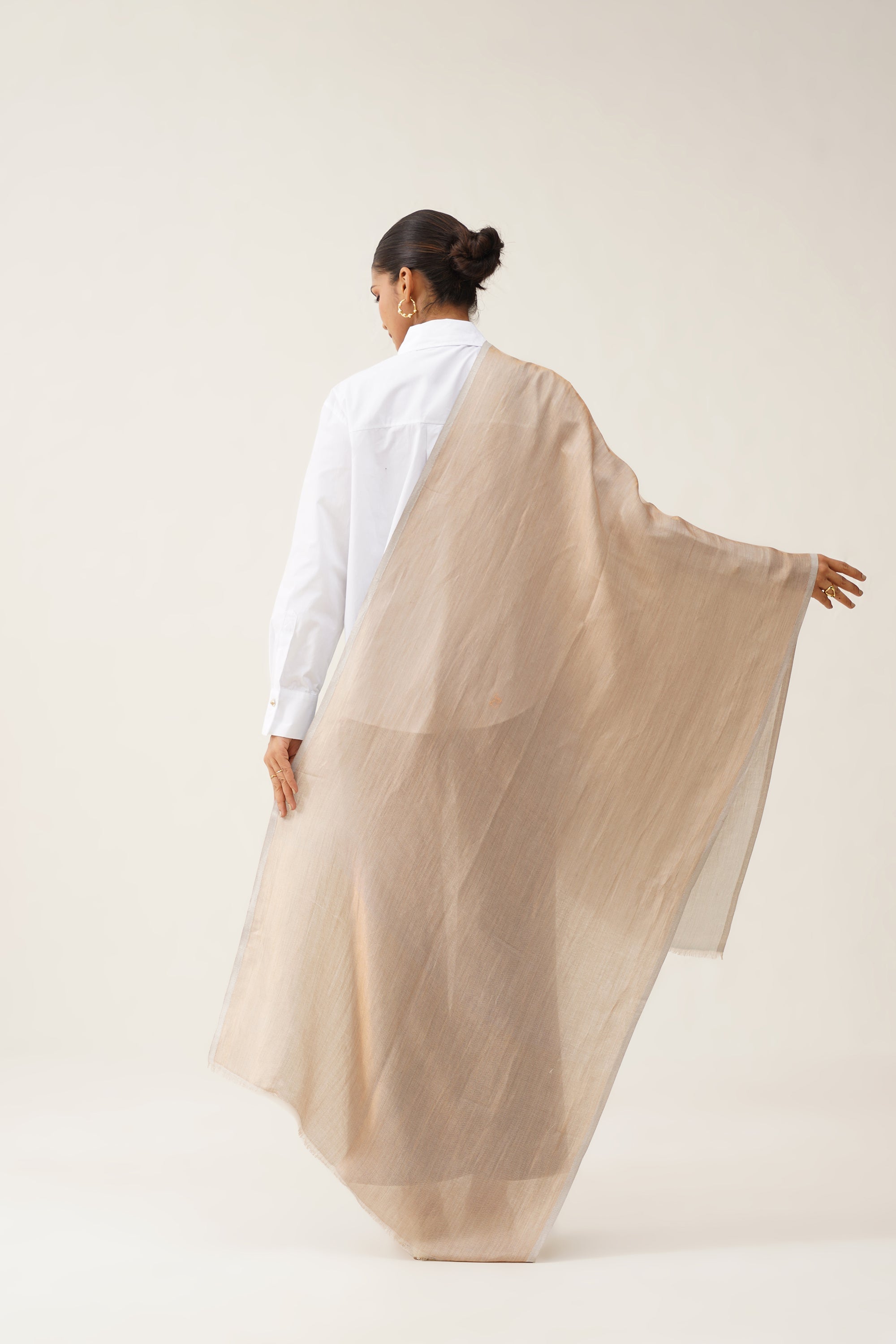 Beige Moonlight Stole - Neetika Chopra