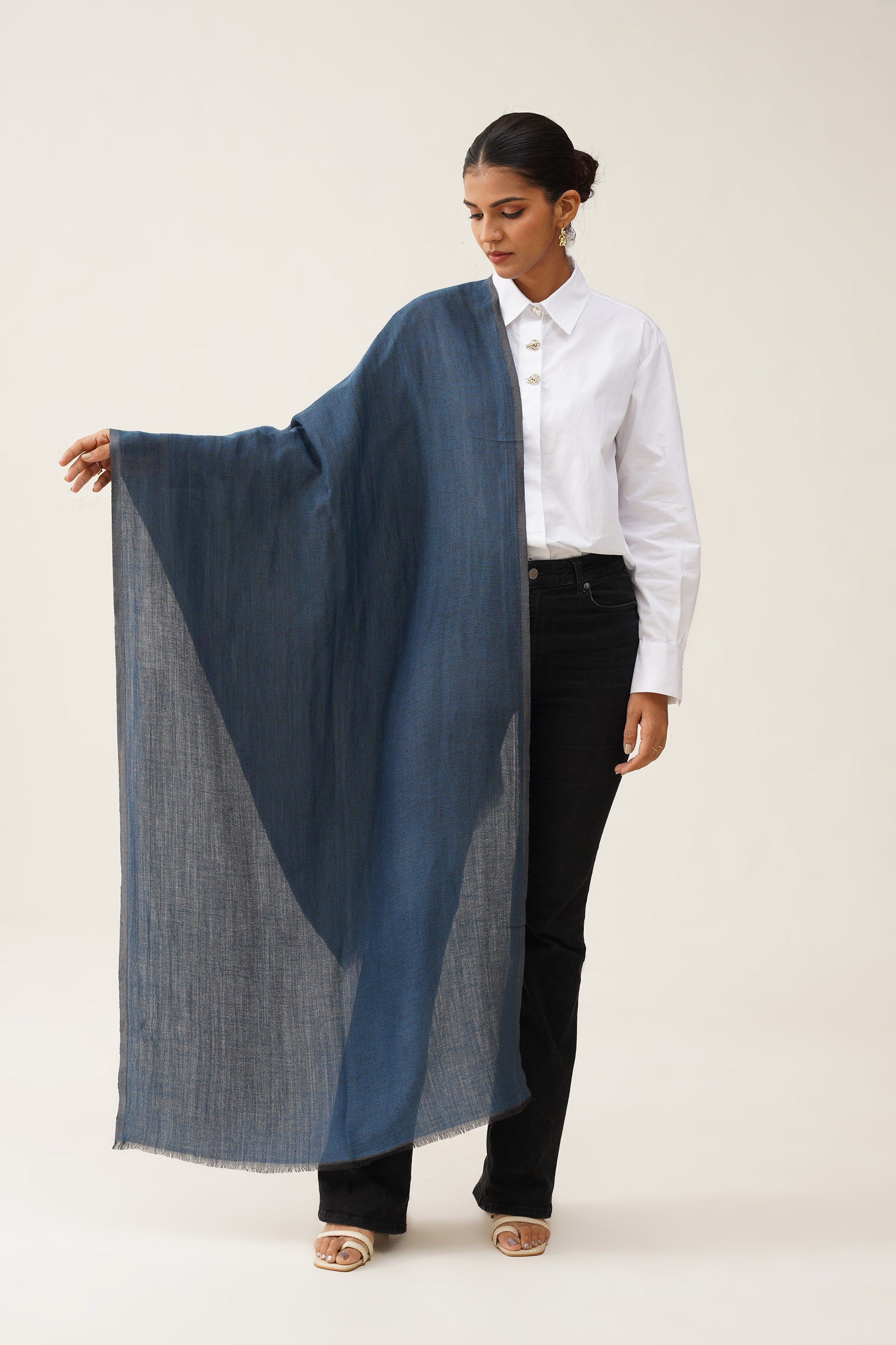 Blue Moonlight Stole - Neetika Chopra